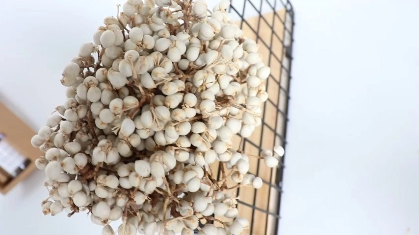 Kleine weiße frucht getrocknete Blumen Haus Dekoration Glasabdeckung Matching Materialfotografie DIY -Material 1