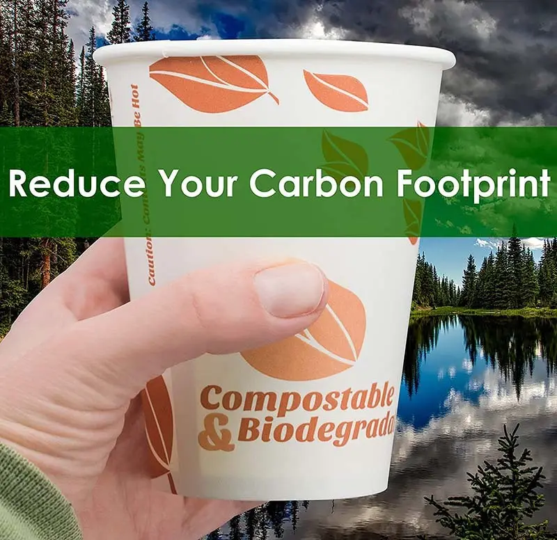Uchampak |  recyclable paper cups  5