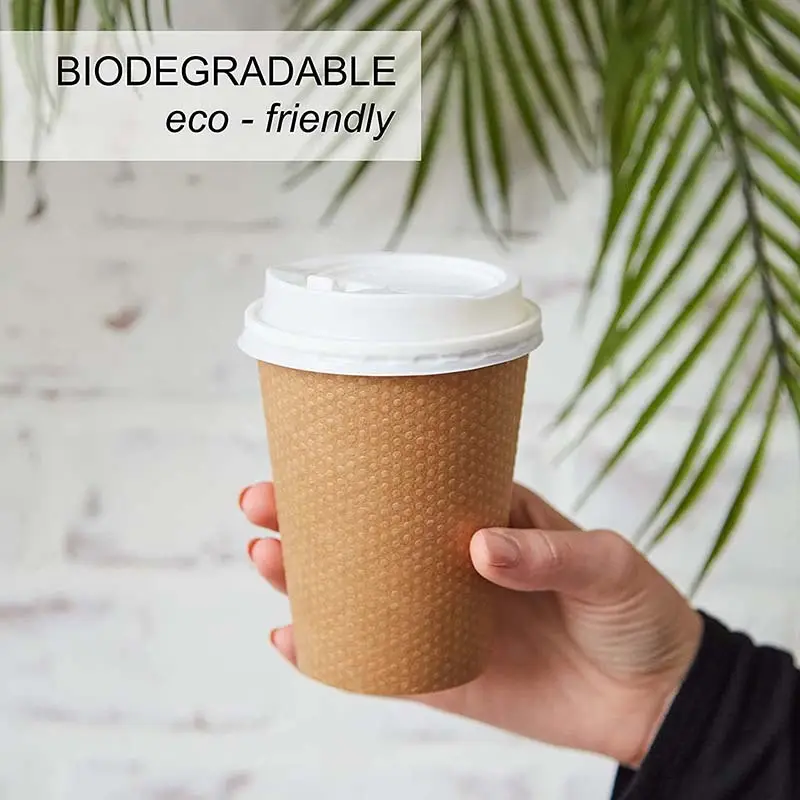 double wall compostable coffee cups at Wholesale Prices | Uchampak 3