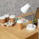 double wall compostable coffee cups at Wholesale Prices | Uchampak 7