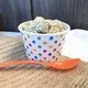  ice cream plastic cups manufacturers  | Uchampak1 4