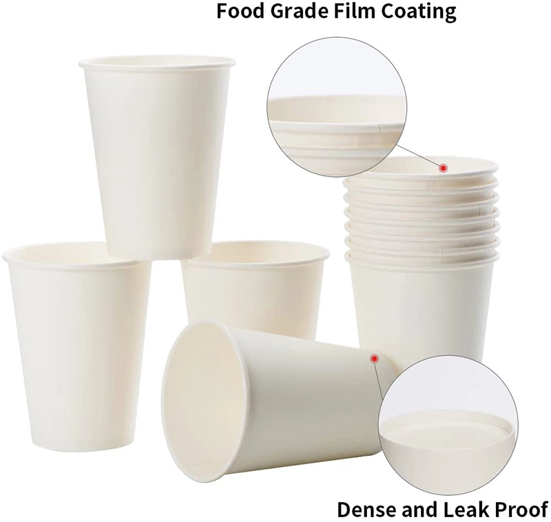 Uchampak- Hot Coffee Paper Cup Disposable Double Wall Stamping Custom Logo 8oz 12oz Time Packaging Single wall cup1 1