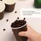 double wall coffee cups disposable at Wholesale Prices | Uchampak 6