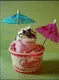 Uchampak |  edible ice cream cups  3