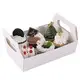 takeaway food packaging at Wholesale Prices | Uchampak 3