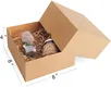 Long Lasting Paper Food Storage Containers Paper Food Storage Containers Company 6