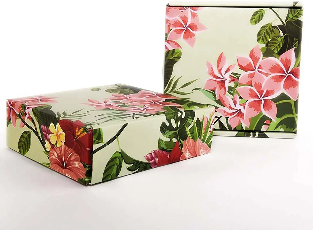  window food boxes  | Uchampak 4