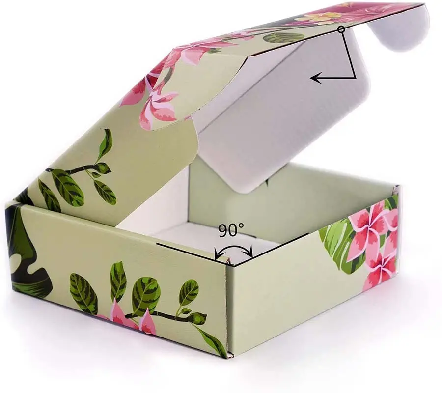  window food boxes  | Uchampak 6