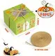 Biodegradable Paper Containers by Uchampak 3