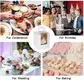 catering box with window at Wholesale Prices | Uchampak 5