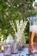  catering food packaging suppliers  | Uchampak 7