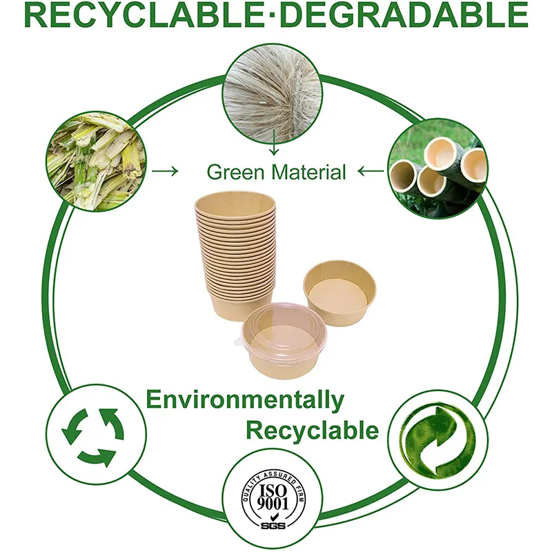 Long Lasting Disposable Paper Bowls with Lids Price List 2