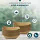 Custom disposable coffee tray  Manufacturer | Uchampak 3