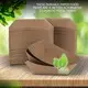 paper plate tray at Wholesale Prices | Uchampak 5