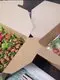 wholesale takeaway containers at Wholesale Prices | Uchampak 2