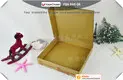 Uchampak |  corrugated food packaging 1 5