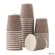 disposable food container manufacturers at Wholesale Prices | Uchampak 1