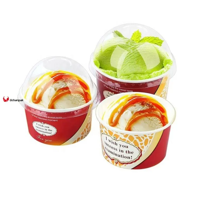 Custom biodegradable food containers manufacturer  Manufacturer | Uchampak 1