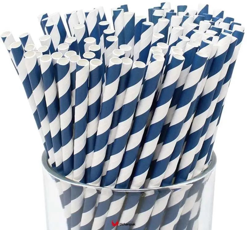 catering packaging at Wholesale Prices | Uchampak 1