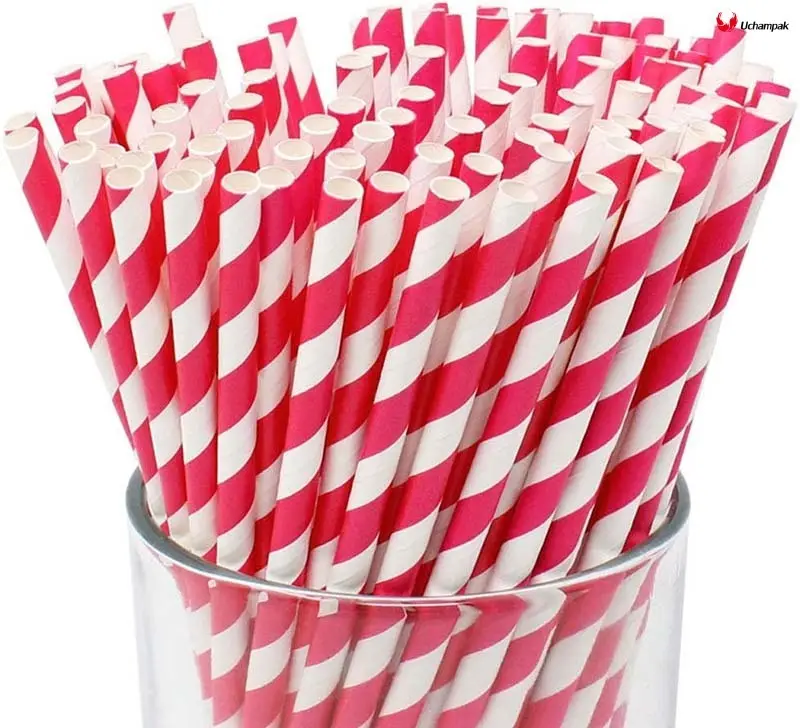 Custom disposable food packaging manufacturers  Manufacturer | Uchampak 1