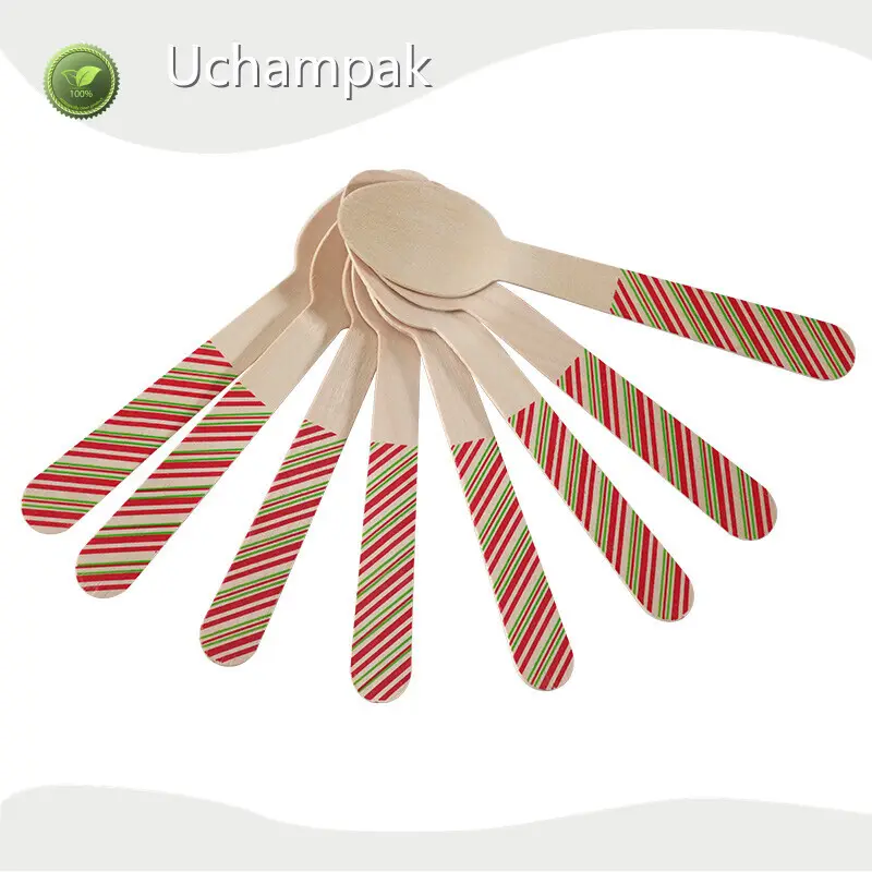Safe to Use Disposable Wooden Spoon and Fork Price List 1