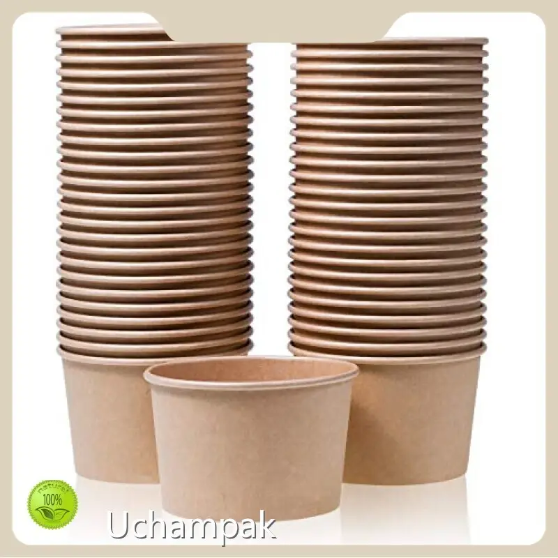 Uchampak Disposable Soup Containers with Lids Made in China 1