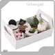 Long Lasting Paper Cup Holder Made in China for Fine Dining 1