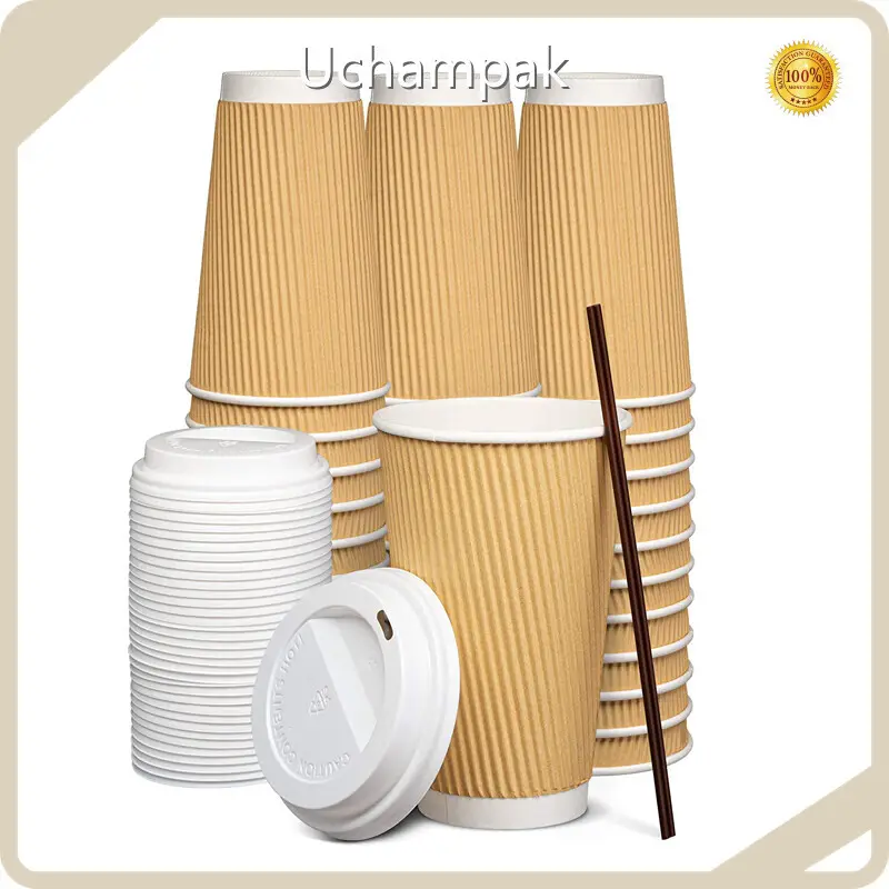 Safe to Use Hot Cups with Lids Supply for Food Packaging 1