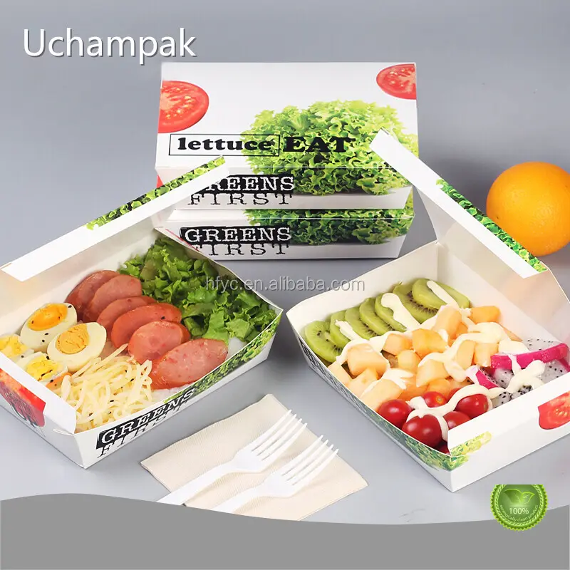 Cost-Effective Cardboard Takeaway Boxes Directly Sale for Fast Food 1