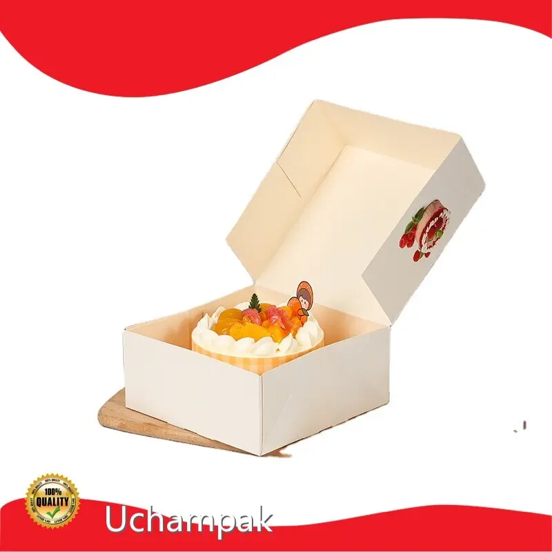 Professional Custom Takeaway Packaging Price List 1