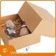Paper Box Hotdog by Uchampak-1 1