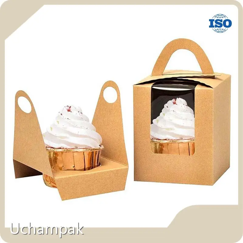 Professional Meal Boxes for 1 Person Price List 1