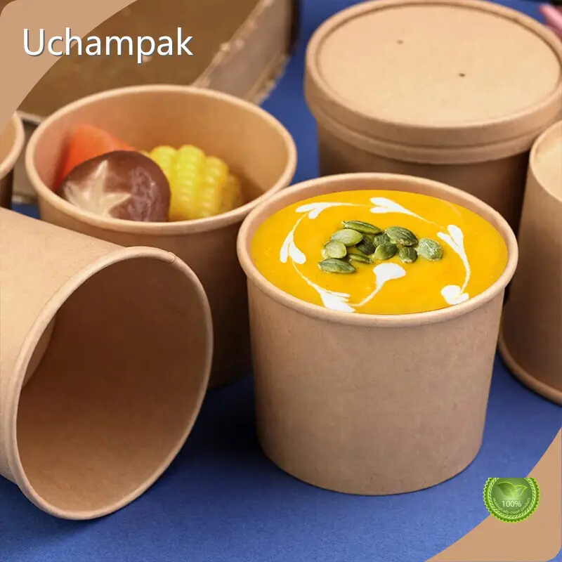 Quality Disposable Paper Bowls for Takeaway Packaging 1