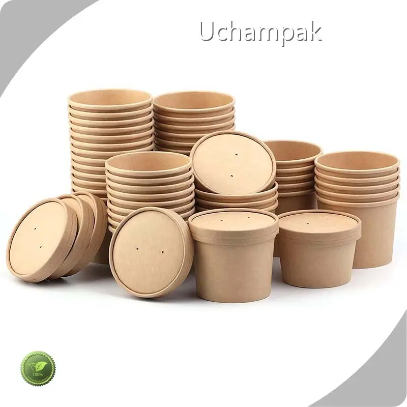 Professional Paper Bowl Manufacturers Company 1