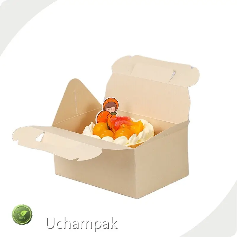 Fried Chicken Paper Box by Uchampak 1