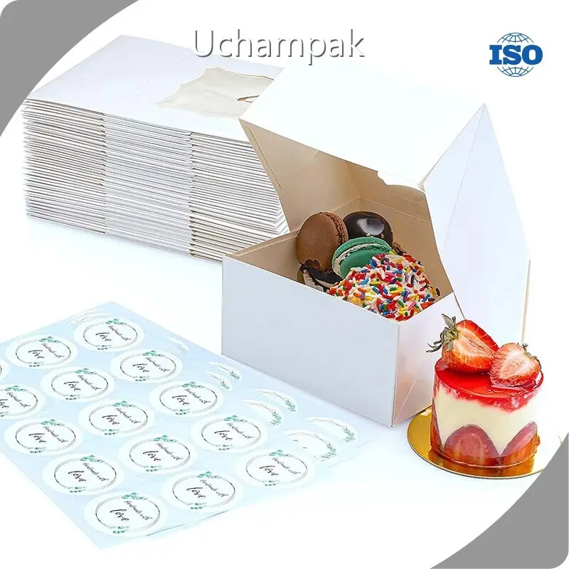 Sustainable Paper Spaghetti Box Series for Frozen Food Packaging 1