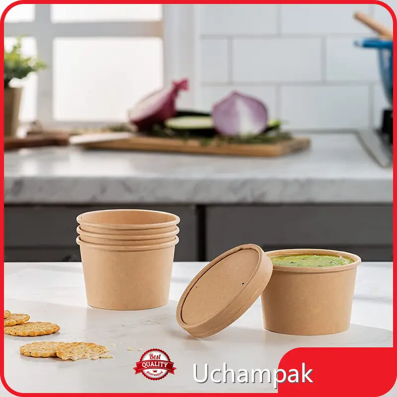 Long Lasting Disposable Bowls Company 1