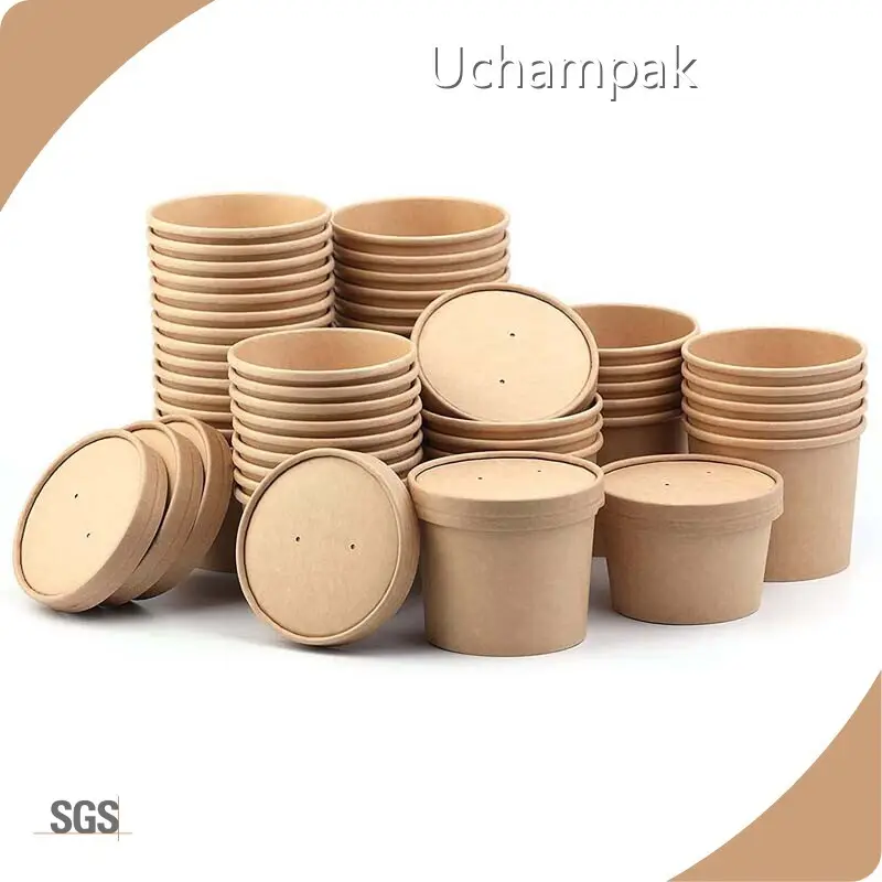 Soup Containers Paper Cup Manufacturers for Frozen Food Packaging Manufacturer 1