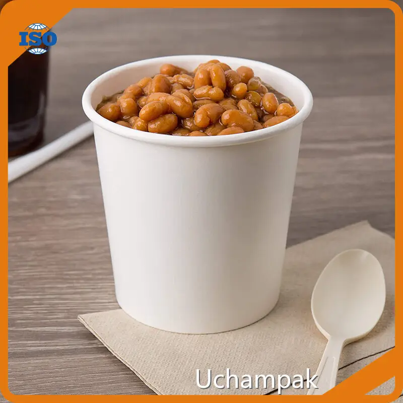 Custom Disposable Paper Bowls with Lids for Cafes 1