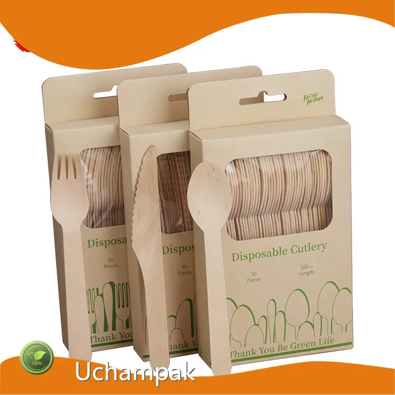 Disposables Disposable Bamboo Cutlery Set for Greasy Spoon 1