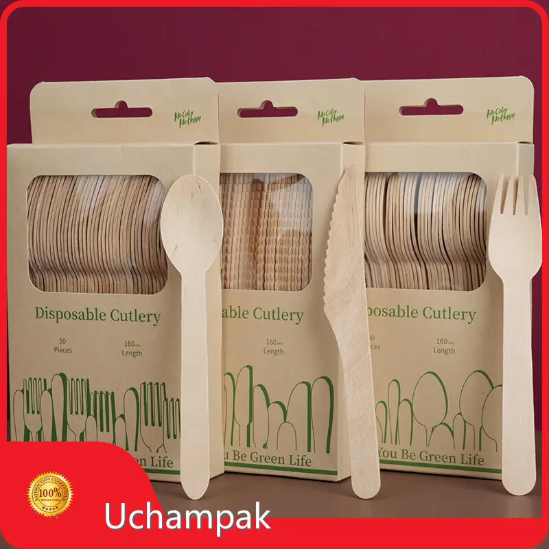Fine Quality Disposable Wooden Spoon and Fork for Coffee Shops 1