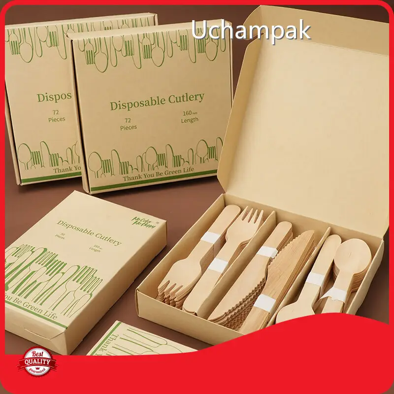 OEM&ODM Disposable Bamboo Cutlery Set for Buffet 1