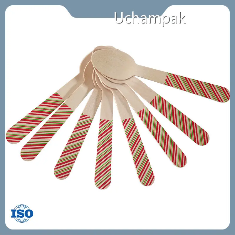 Bamboo Silverware Disposable Bamboo Cutlery Wholesale - Uchampak 1