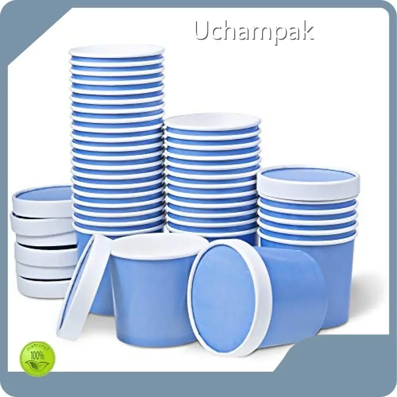 Factory Price Eco Friendly Disposable Bowls for Frozen Food Packaging 1
