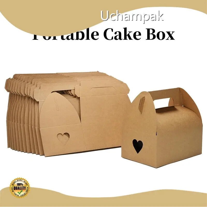 Kraft Sushi Box by Uchampak 1