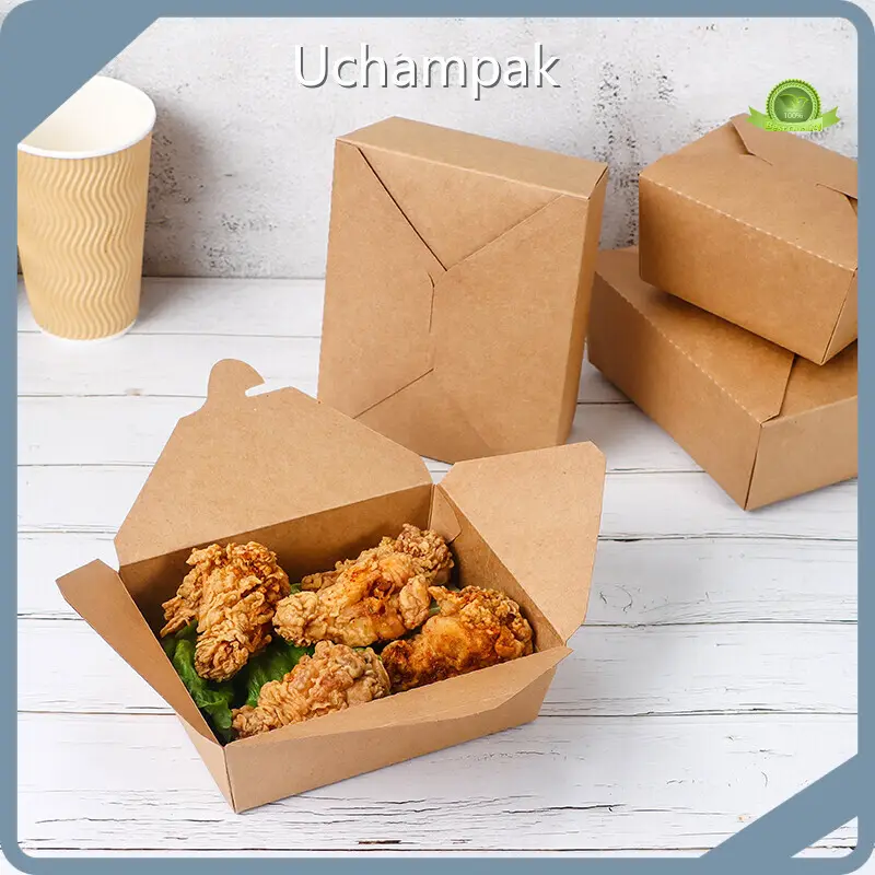 For Frozen Food Packaging Takeaway Cake Boxes by Uchampak 1