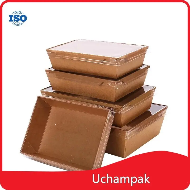 Uchampak Paper Bento Box Made in China 1