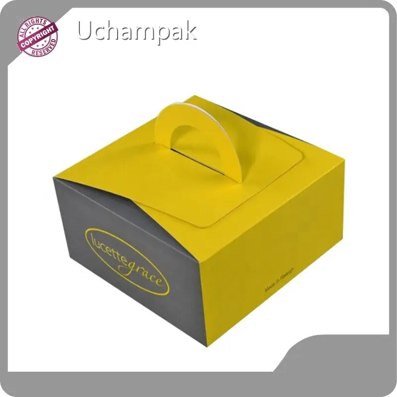 Quality Square Cake Boxes with Window for Fast Food 1