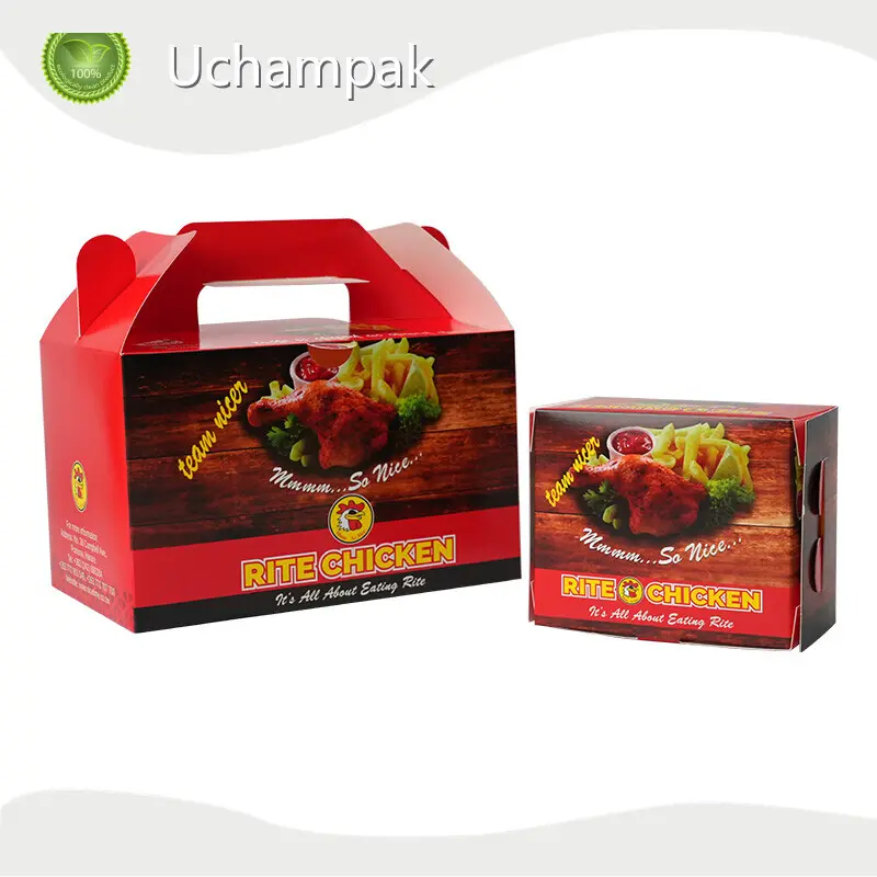 Compostable Take Away Packaging for Fast Food 1