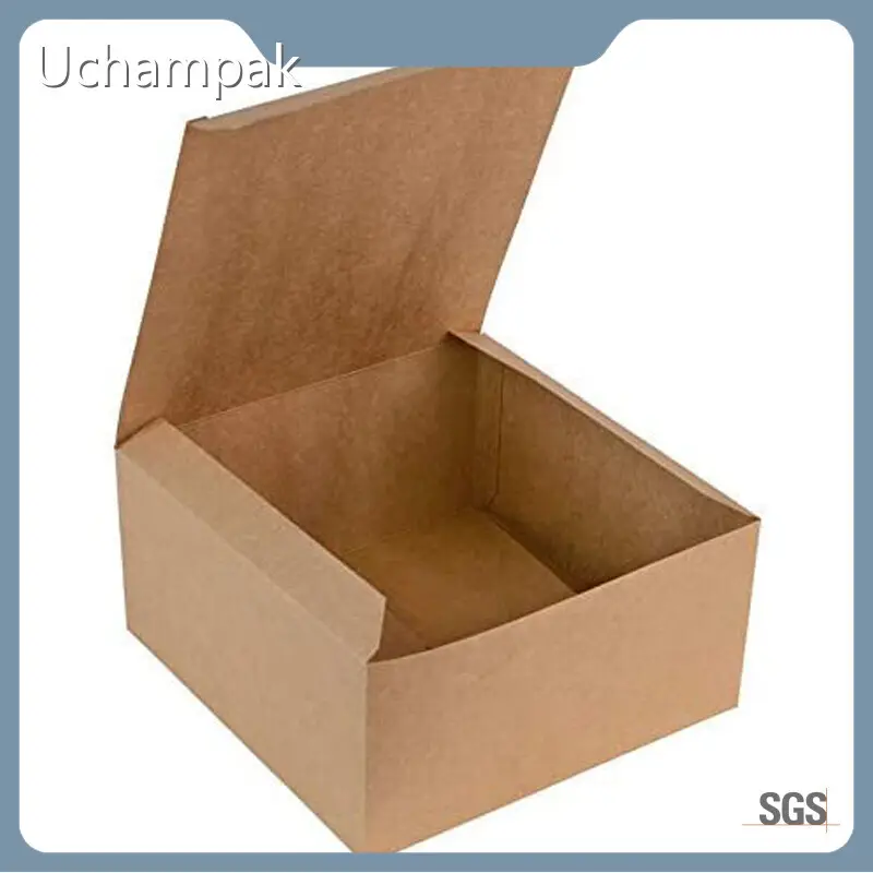 Fast Food Boxes Take Away Packaging for Fine Dining Factory Direct Supply 1